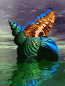Butterfly Snail GIF