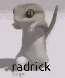 Radrick Lizard GIF - Radrick Lizard Dancing GIFs