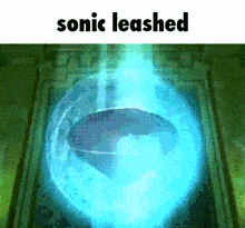 Sonic Unleashed Sonic GIF - Sonic Unleashed Sonic Werehog GIFs