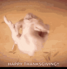 Thanksgiving Blessings To Friends GIF - Thanksgiving Blessings To Friends GIFs