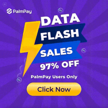an advertisement for palmpay shows a lightning bolt and says data flash sales 97% off