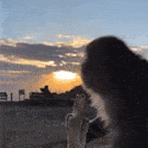 a monkey is looking at the sunset while sitting on a bench .