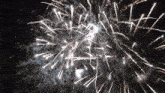 a fireworks display in the night sky with a cluster of white fireworks in the middle