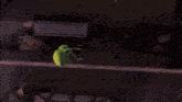 an aerial view of a city street at night with a green frog on a building