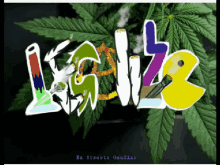 Weed Legalize GIF - Weed Legalize Party GIFs