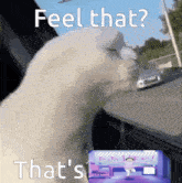 a cat is looking out a window with the words feel that that 's