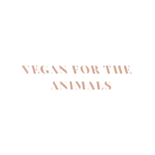 melinabucher vegan animal love vegan for animals vegan company