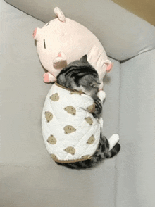 a cat is sleeping on a couch with a stuffed animal on its head .