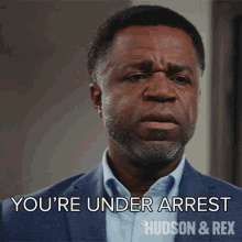 youre under arrest joe donovan hudson and rex im arresting you im taking you into custody