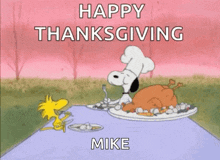 Peanuts Thanksgiving GIF - Peanuts Thanksgiving GIFs