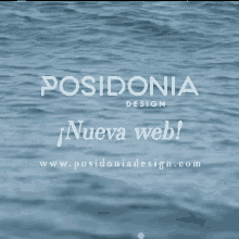 posidonia design neava web beach water