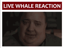 Brendan Fraser Whale GIF - Brendan Fraser Whale GIFs