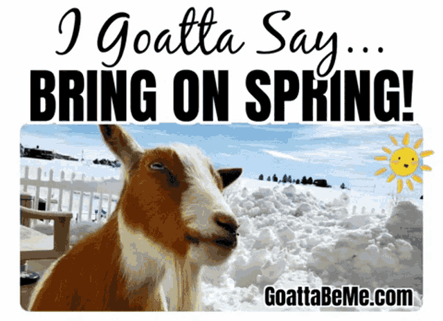 Spring Excited GIF - Spring Excited Animals - Discover & Share GIFs