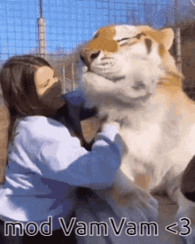 The Coffin Tiger GIF