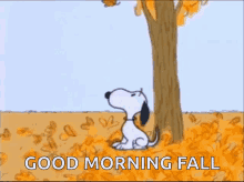 Good Morning Snoopy GIF - Good Morning Snoopy Falling Leaf GIFs