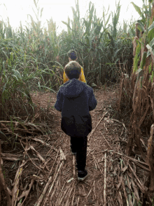 Corn Maze GIF - Corn Maze Kids GIFs
