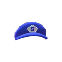 a blue hat with the letter s on the front