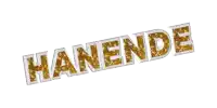 the word hanende is written in gold glitter