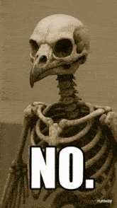 a skeleton with a bird 's head and the word no written on it