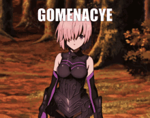Gomenacye GIF - Gomenacye GIFs