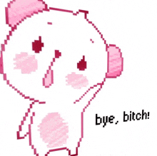 a pixel art drawing of a pig with the words bye bitch below it