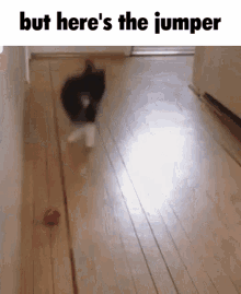 But Heres The Jumper Jumping Cat GIF - But Heres The Jumper Jumping Cat Cat Jumping GIFs
