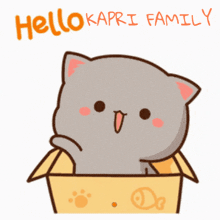 Hello Kapri Family GIF - Hello Kapri Family Kapri GIFs