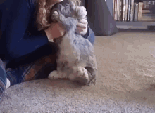 Bunny Dance Dancing GIF - Bunny Dance Dancing Dance Moves GIFs