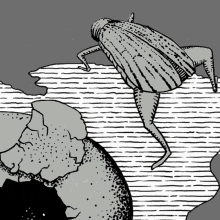 a black and white drawing of a bug crawling on top of a rock