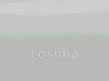 Cosima Ageofadriana GIF - Cosima Ageofadriana Gengar GIFs