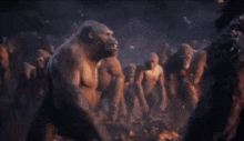 King Kong Godzilla Vs Kong GIF - King Kong Godzilla Vs Kong Kong GIFs