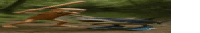 a blurred image of a frog holding a stick and a fish .