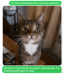 a cat sitting on a table next to a text which says fyi i have remembered