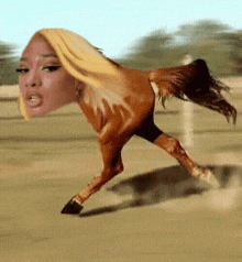Megan Thee Stallion Horse GIF - Megan Thee Stallion Horse Meme GIFs
