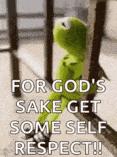 kermit the frog is sitting on a railing with the words `` for god 's sake get some self respect '' .