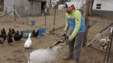 Petting The Goat Derrick Campana GIF - Petting The Goat Derrick Campana National Geographic GIFs