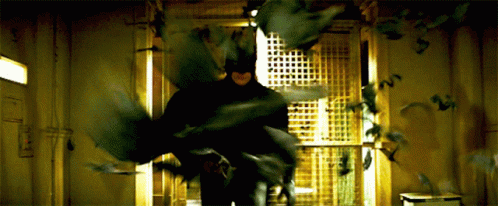 Batman Bats GIF - Batman Bats Super Hero GIFs