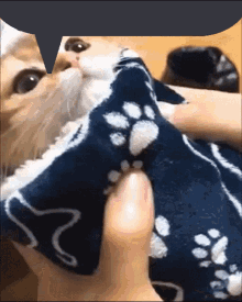 Purrito Burrito Purr GIF - Purrito Burrito Purr Cat Hug GIFs