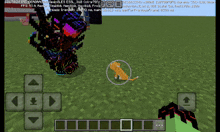 a screenshot of a minecraft game with a cat in the middle