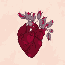 heart gif tumblr