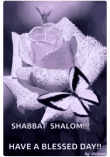 Shabbat Shalom Images GIF - Shabbat Shalom Images GIFs