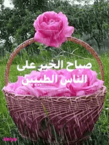 basket flower rain