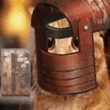 a cat wearing a knight 's helmet with its eyes visible .