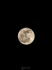 a full moon is visible in the dark sky