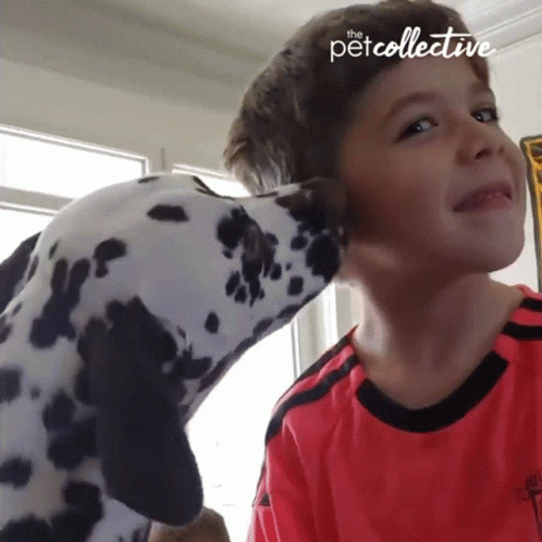 Are Dalmatians Good with Kids?