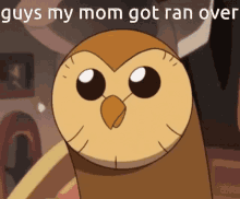 Owl House Hooty Guys My Mom Just Got Ran Over GIF - Owl House Hooty Guys My Mom Just Got Ran Over GIFs