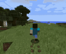Steve You What GIF