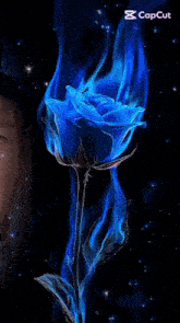 a man stands in front of a blue rose with the letter m on the bottom