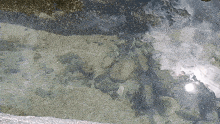 a shallow body of water with a lot of rocks