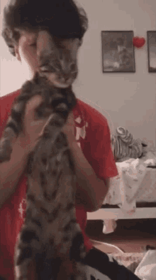 a man is holding a cat in his arms in a room .